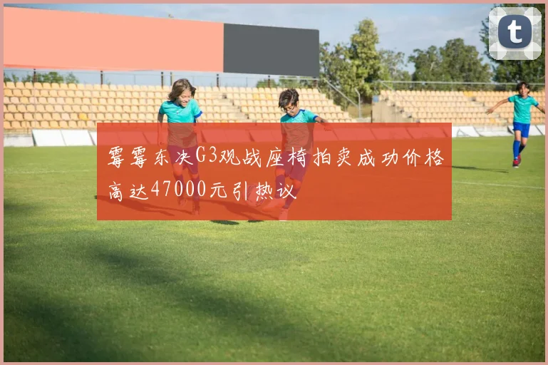 霉霉东决G3观战座椅拍卖成功价格高达47000元引热议